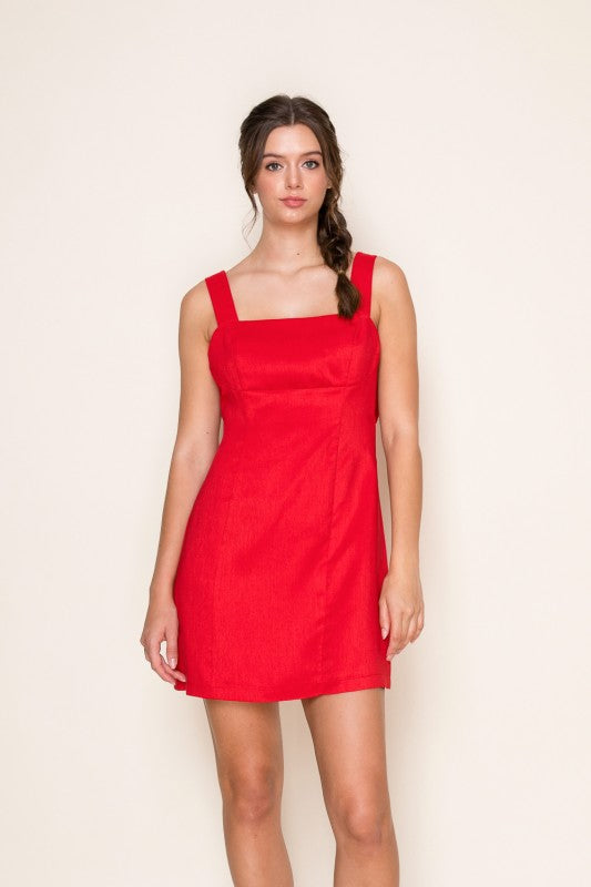 Lilly Sleeveless A-Line Mini Dress Red