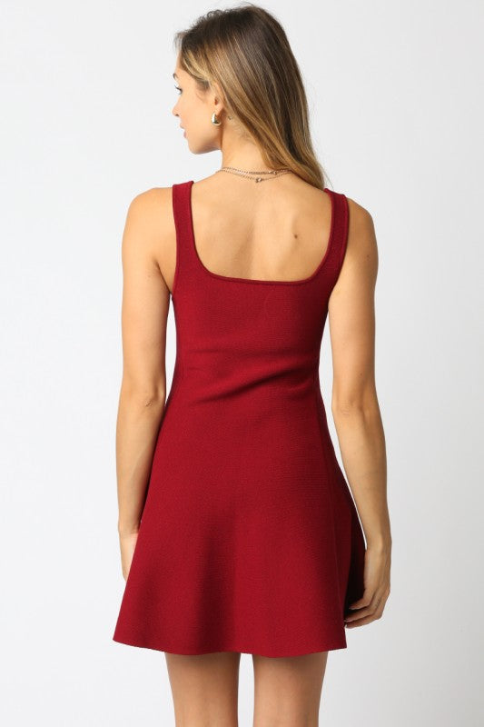 Sleeveless A-Line Knit Mini Dress Burgundy