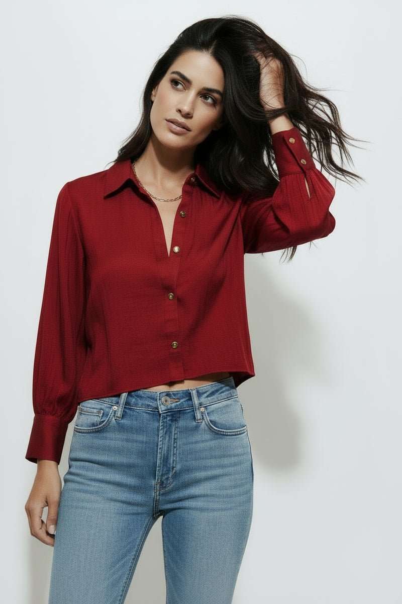 Long Sleeve Button Down Satin Crop Top Red