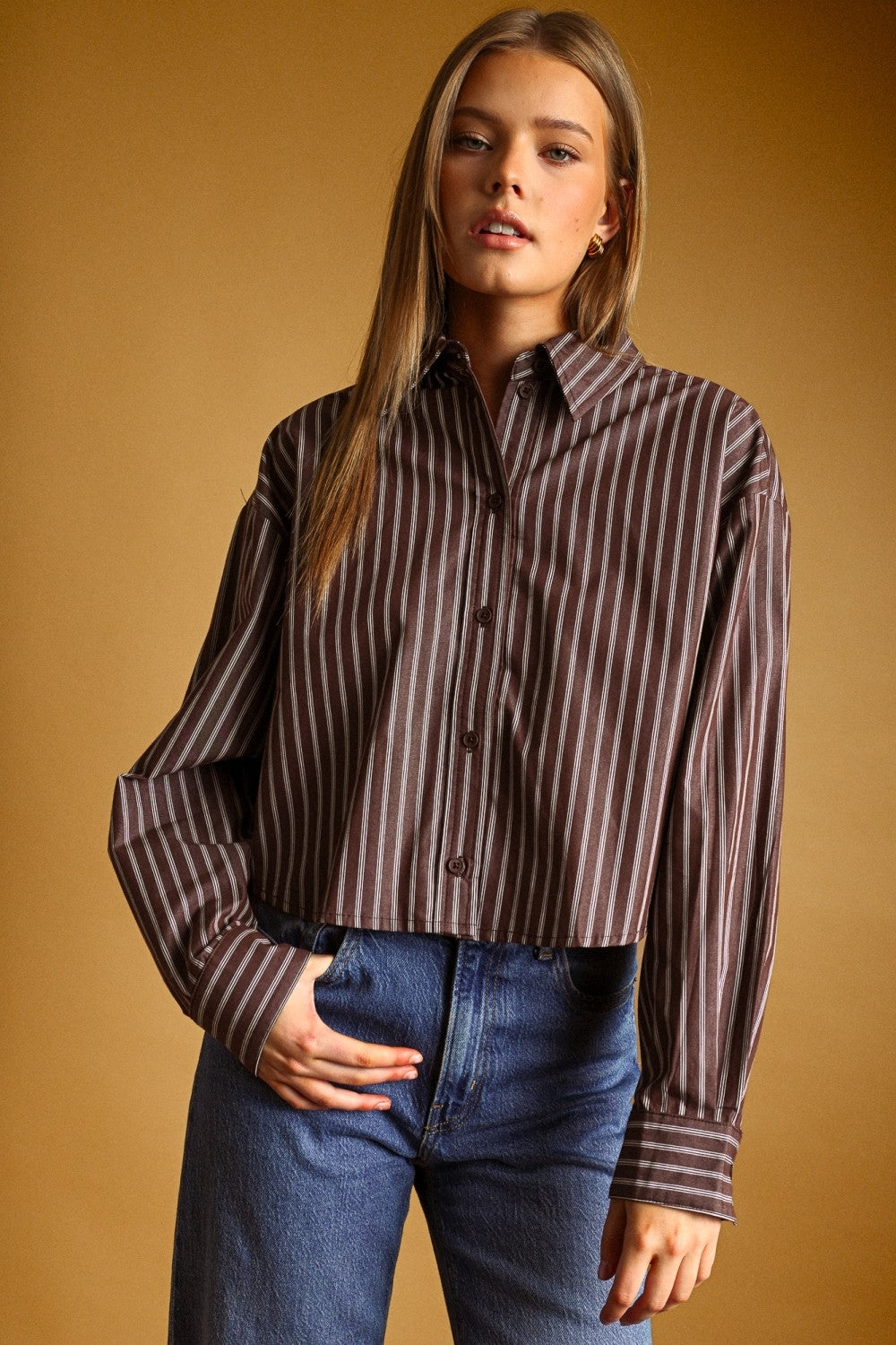 Long Sleeve Button Down Crop Stripe Print Top Brown