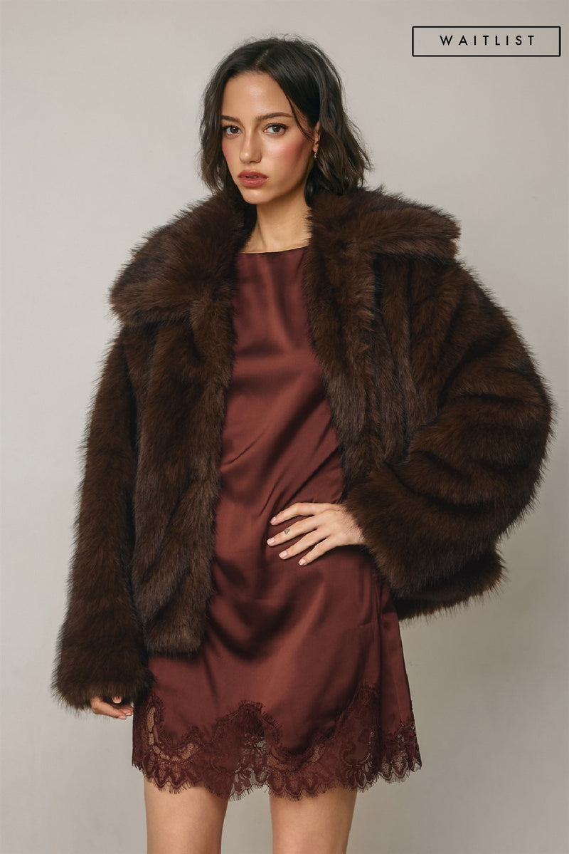 Long Sleeve Faux Fur Jacket Brown