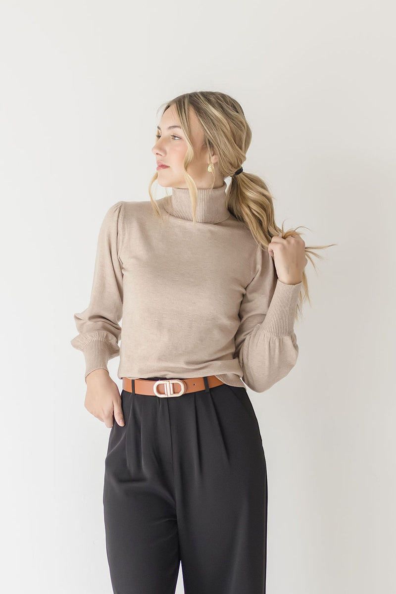  Long Sleeve Turtleneck Top Taupe