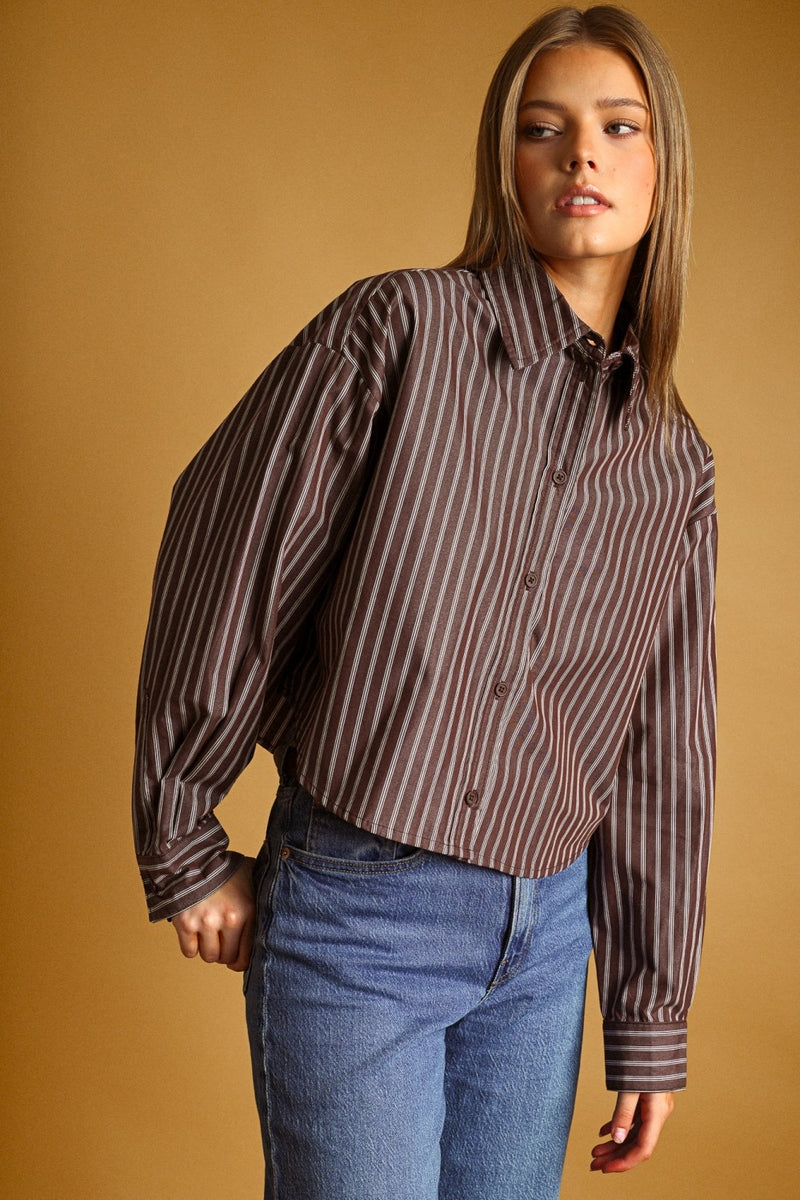 Long Sleeve Button Down Crop Stripe Print Top Brown