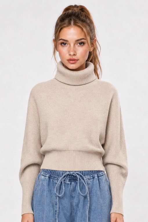 Long Sleeve Turtleneck Ribbed Knit Sweater Cream