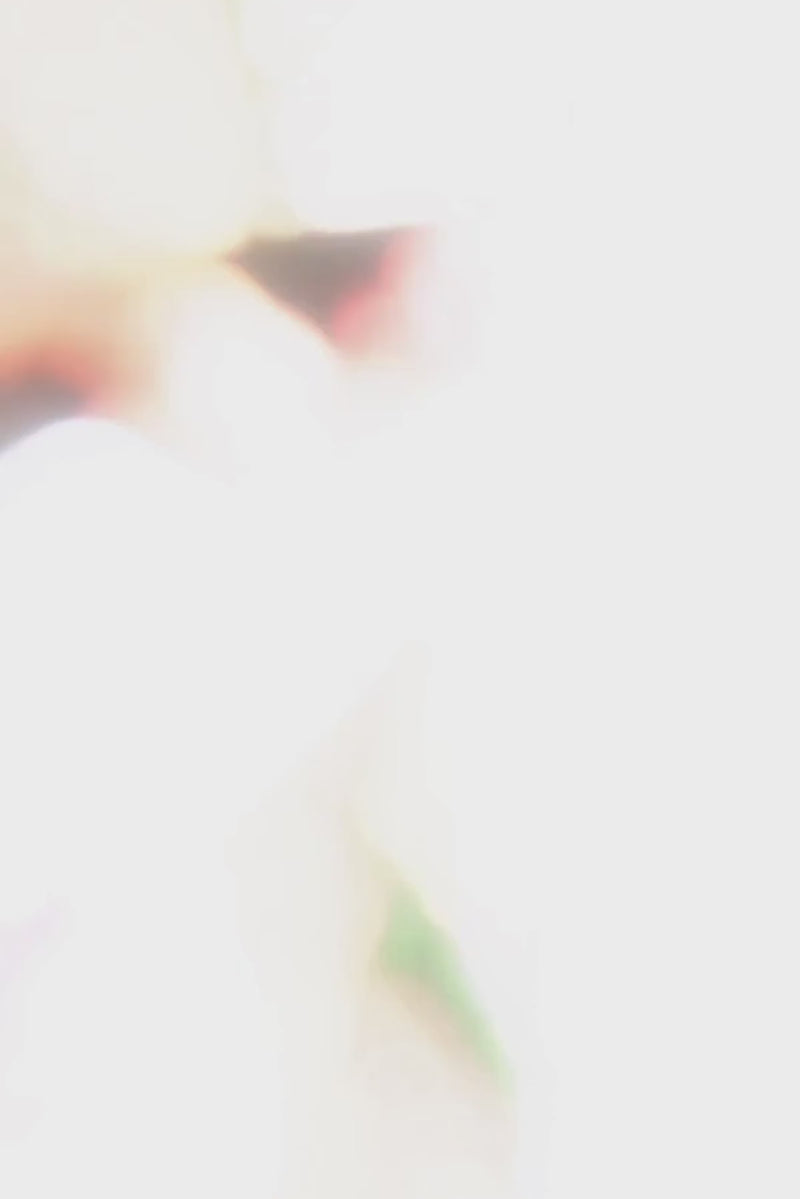 Sleeveless Pleated Floral Print Maxi Dress Cream